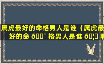 属虎最好的命格男人是谁（属虎最好的命 🐯 格男人是谁 🦋 啊）